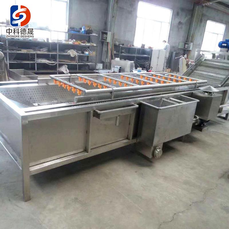 全自动气泡大枣清洗机不锈钢多功能竹笋果蔬清洗机净菜加工设备