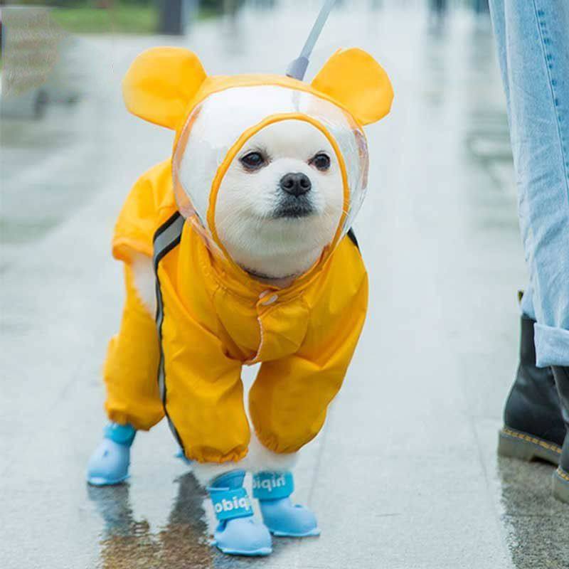带尾巴小狗狗雨衣四脚防水全包泰迪比熊雪纳瑞小型犬宠物雨天衣服