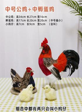 高档仿真公摆会叫打鸣大公鸡玩具家禽动物模件鸡摄影型道具招财装