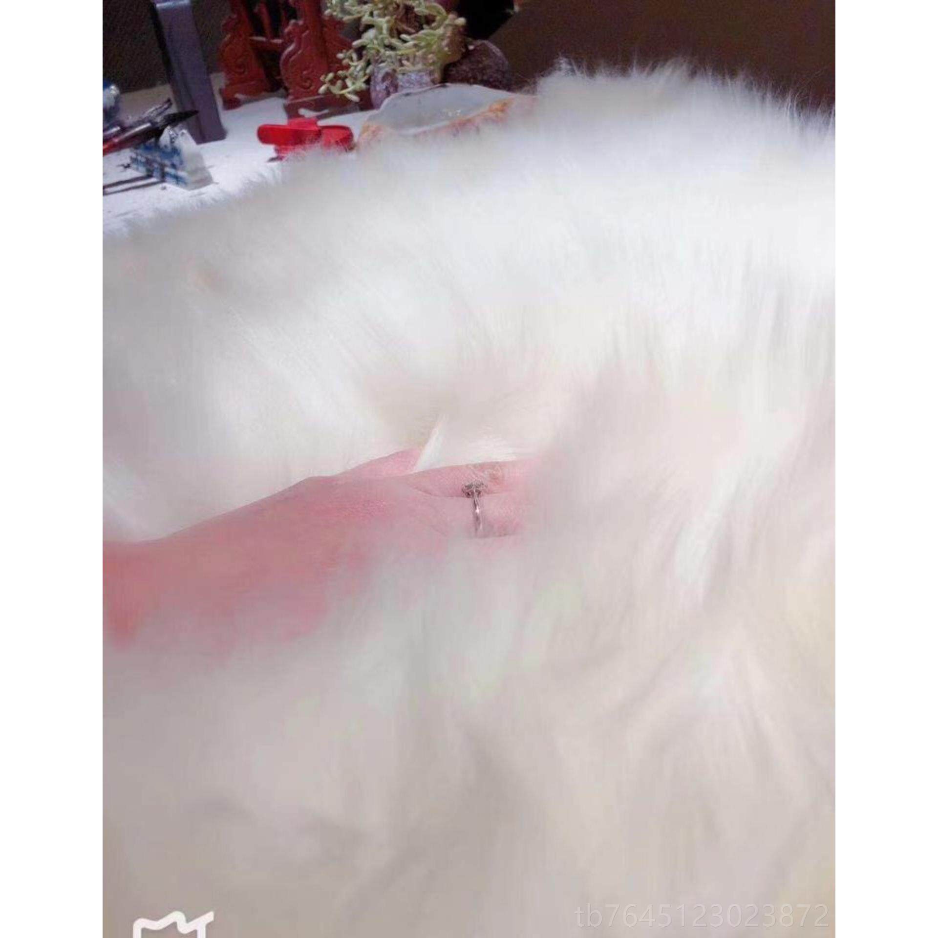 高档新疆阿勒羊毛毯褥子泰整皮汽车坐垫沙发垫皮毛张一体羊绒羊毯