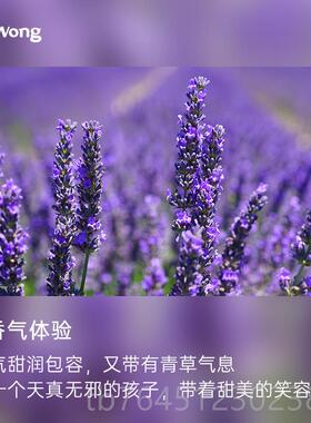 高档身Dr.Won醒目薰衣草方精油50gml体按摩护理室内扩香香薰单精