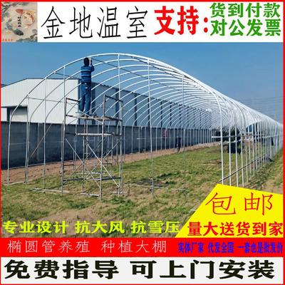 温室大棚骨架热镀锌蔬菜菜园花卉种植养鸡椭圆钢管全套