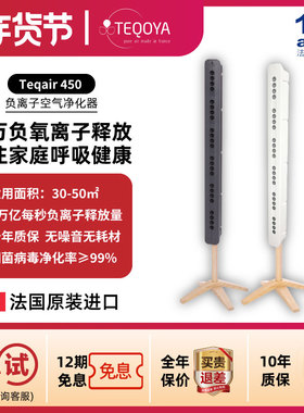 法国进口T450teqoya得康氧负氧离子空气净化器负离子发生器除甲醛