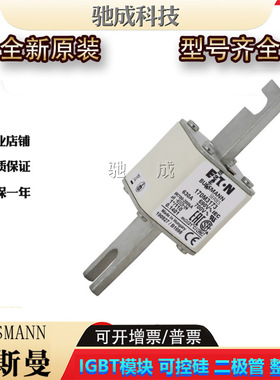 巴斯曼170M3173 170M4158 170M4159  低压保险丝诚信经营货源充足