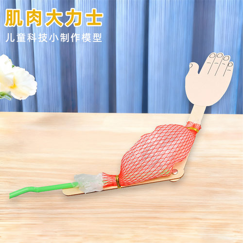 肌肉大力士科技小制作儿童科学实验教玩具幼小学生手工diy材料包