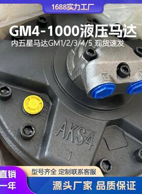 液压马达GM4-1000-1G-D40五星马达SAI注塑机溶胶马达开舱马达