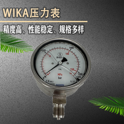 德国WIKA 233.30.100压力表 过程工业安全型 超高压应用压力表