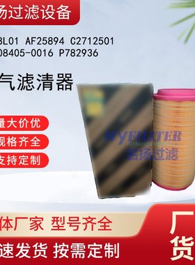 E428L01 AF25894 C2712501 81.08405-0016 P782936 空气滤清器