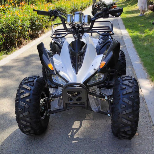 125cc 沙滩越野车 全地形四轮越野 雪地雪橇摩托