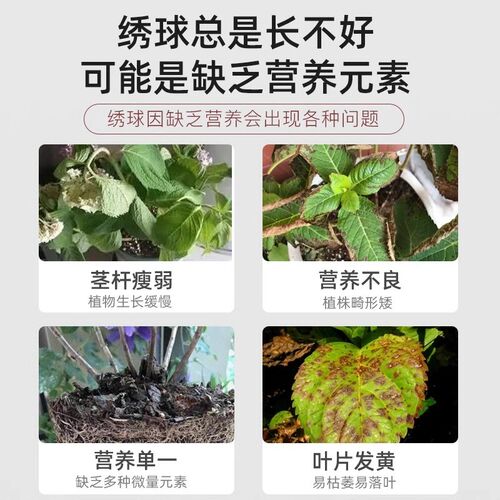 定制绣球专用肥料绣球花专用控释C营养颗粒肥花肥缓释肥基肥花卉