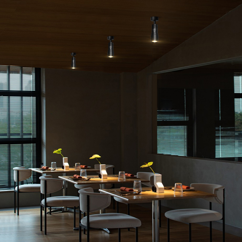 小光束角射灯明装可调角度博物馆饭厅酒L吧射灯聚光气氛灯可调焦