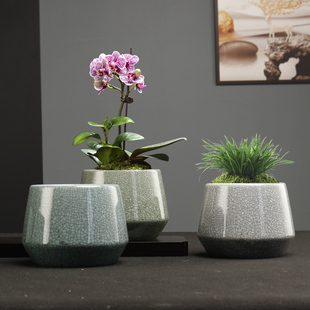 简约文竹花盆哥窑陶瓷小号蝴蝶兰专用多肉绿植P盆载桌面微观造景