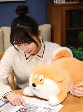 可爱阿柴枸杞柴犬公仔毛绒玩x具布娃娃玩偶狗狗睡觉抱枕生日礼物