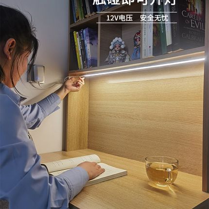 台灯学习专用护眼灯学生寝室书桌阅读磁吸灯插N电式电脑桌LED灯管