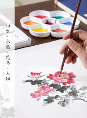 梅林笔庄国b画颜料12色初学者儿童画画入门材料水墨画中国画颜料