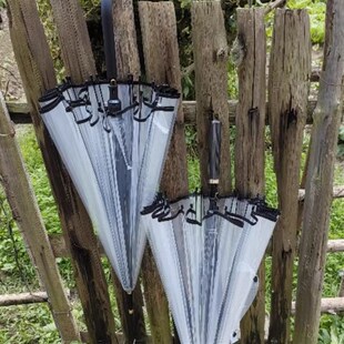 24骨超大双人弯钩自动透明伞z加大结实抗风雨伞长柄伞男女两用新