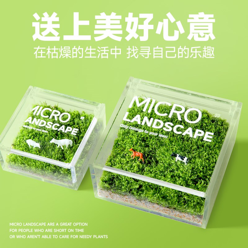 一片草坪苔藓微景观桌面懒人绿植生态盒造景M四季好养趣味鲜活植