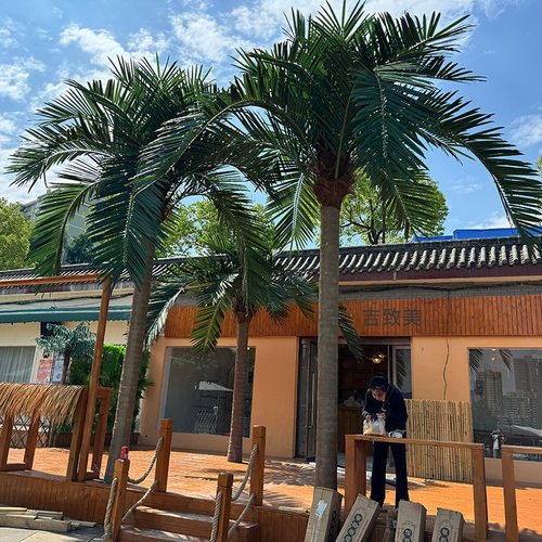 玻璃钢 仿真椰子树定制厂家门店农庄热带仿真植物造景装饰 棕榈树