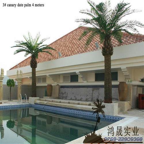 仿真加拿大海藻树中东海藻树仿真玻璃钢海藻树厂家直销可来图制作