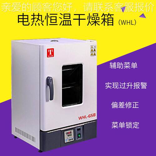 天津泰斯特 WHLL-65BE/WHLL-125BE 立式电热恒温干燥箱