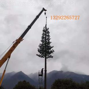 头厂家制作仿真树fss仿生树避雷针仿生树塔雷避源针通讯铁 塔有优