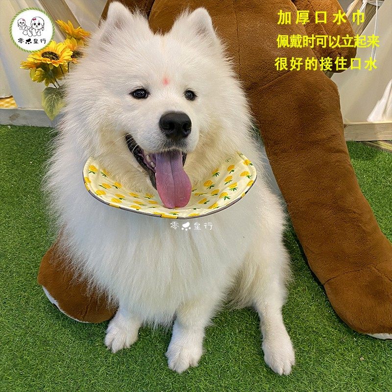 宠物狗狗口水巾中大型犬纯棉围脖阿拉斯加金毛萨摩耶柯基防水围兜,宠物/宠物食品及用品,围巾/口水巾,淘宝优惠券,粉丝福利购,淘宝优惠卷