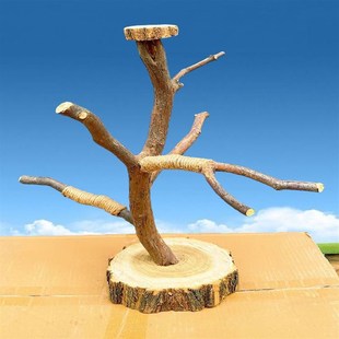 小鸟站架鹦鹉站棍站杆树枝训练架子玄凤虎皮牡丹架杆爬架原木桌面