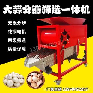 大蒜分瓣筛选一体机农用自动蒜种分选机家用蒜种掰瓣筛选机 新款