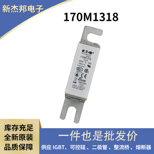 170M3816D 170M3817D 170M3818D 170M3819D全新高压熔断器 熔芯