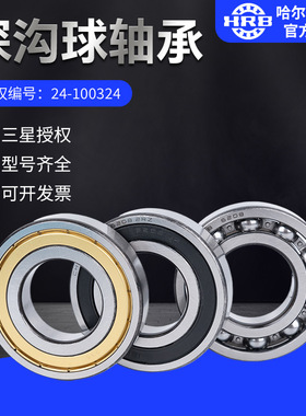 HRB哈尔滨轴承61926-2Z ZZ 2RZ 2RS开式及封闭轴承