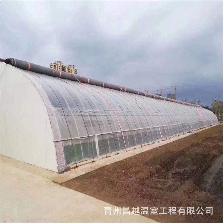 大型全钢管式日光温室大棚花卉种植展览育苗基地专业生产厂家,模玩/动漫/周边/娃圈三坑/桌游,文化/体育周边,淘宝优惠券,粉丝福利购,淘宝优惠卷
