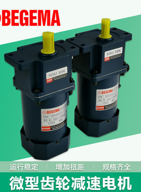 BEGEMA宝戈玛调速电机单相220V牙箱6IK300RGU-CF/6GU30K 微型马达