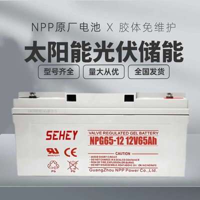 NPP耐普太阳能蓄电池 100AH胶体12V电池65AH 免维护光伏SEHEY电池