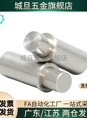 304平头型小径弹簧柱塞MPFL/MPFH1.5/2/3/4/5-1.5/3/4/6/8/9/12