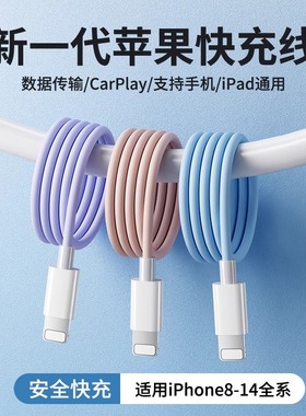 适用苹果充电线14iphone13promax12数据线11plusxr/xs手机30W充电器快充ipad平板闪充车载传输线正品套装橙猿