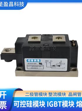 CTT100GK08 CTT100GK12 CTT100GK14 CTT100GK16 CTT100GK18可控硅