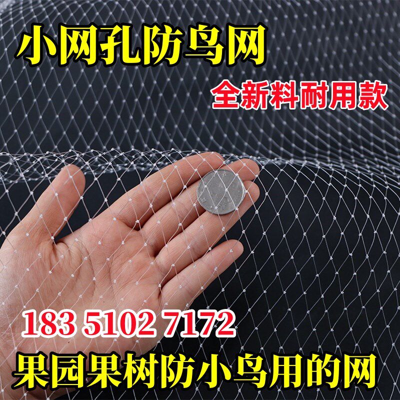 小网孔果树防鸟专用网果园天网尼龙网樱桃嘉宝果防鸟网蔬菜防鸟罩