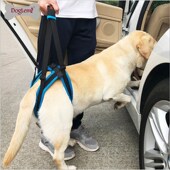 狗狗后腿残疾辅助带高老龄犬腿受伤无力支架牵引绳背带不影响排泄