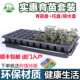 育苗盘套装 育苗穴盘扦插盘育苗盆育苗神器蔬菜多肉营养盘育苗托盘