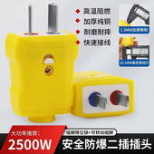 旋转固定带锁两用插头加厚纯铜插头二脚2插头电源10a16A二三插头