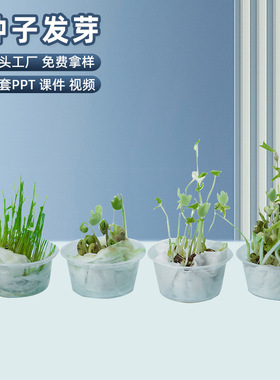 儿童种植绿植小盆栽diy科学实验种子发芽幼儿园学生种子玩具