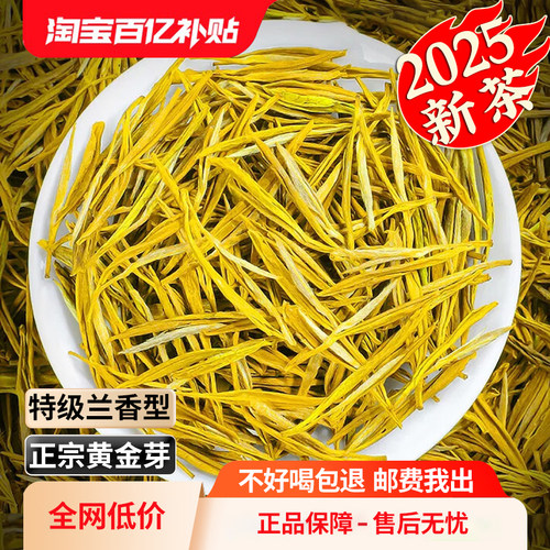 安吉奶白茶黄金芽茶叶2025新茶