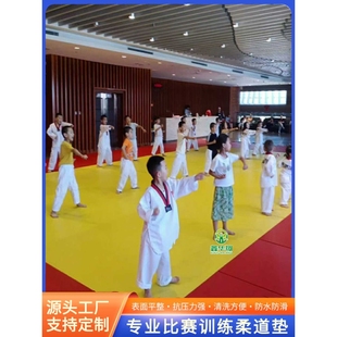 柔道垫专业比赛训练垫摔跤散打跆拳道搏击榻榻米柔术训练垫