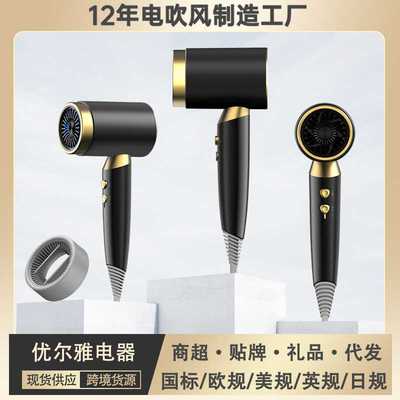 电吹风机家用负离子不伤发廊大功率2400W 高速风筒hair dryer