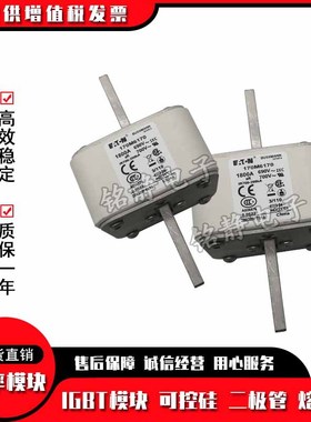 170M6763 170M6764 170M6765现货170M6766巴斯曼熔断器170M6767
