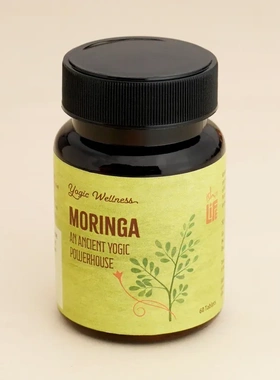 印度原装IshaMoringa