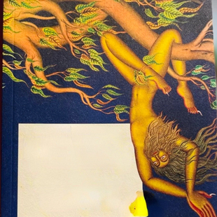 业力 Karma Destiny Your Crafting Guide Yogi’s 现货