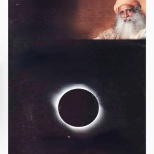 Polish Don’t Your Ignorance...It Shine May 现货