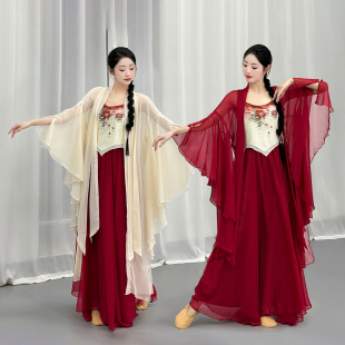 古典舞演出服国风仙气飘逸外披纱衣古风中国舞现代舞练功表演服装