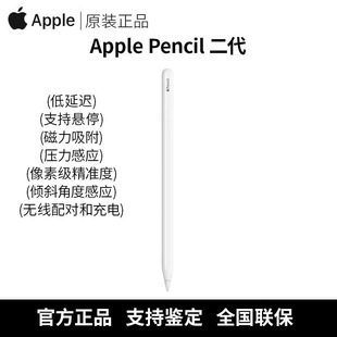 Apple/苹果 Pencil (第二代)原装 支持全国联保 手写笔 港版